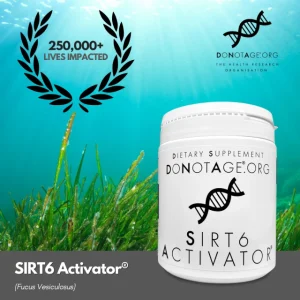 SIRT6Activator® (60 capsules)